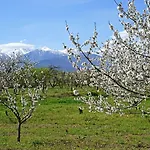La Petite Colline A 别墅