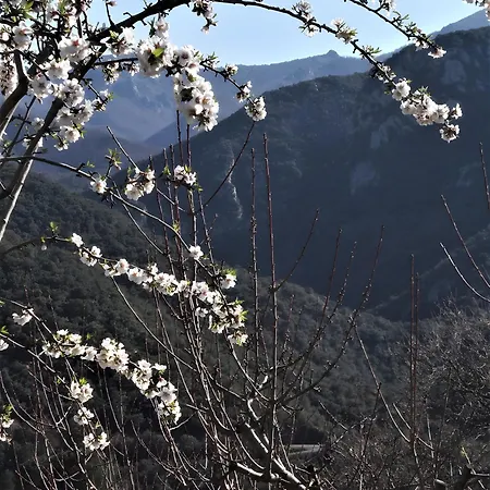 Villa La Petite Colline A Ceret