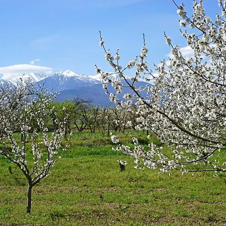 La Petite Colline A Villa