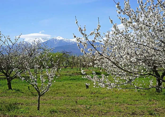 La Petite Colline A Willa