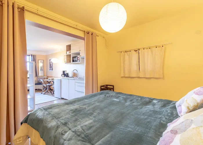 La Petite Colline A Céret